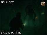 dm_steam_final