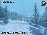 Rally_Forest_Snow