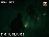 9THCMD_DM_PURGE