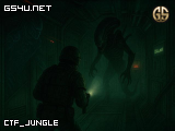 ctf_jungle