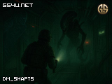 dm_shafts