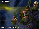 zm_g_trushobi_r