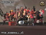 tfdb_baseball_a5