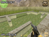 aim_pistols