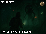 AVP_COMMUNITY_GALLERY