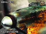 FalkenTag.mis