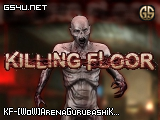 KF-[WoW]ArenaGurubashiKFGameType