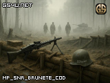 mp_snr_brunete_cod