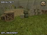 aim_headshot