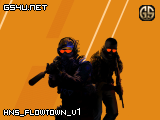 hns_flowtown_v1