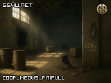 coop_meows_pitifull