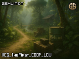 VCG_TheFirst_COOP_LOW